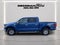 2025 Ford F150 XLT