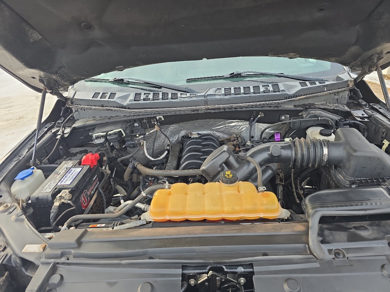 2016 Ford F-150 XLT SuperCab 8-ft. Bed 4WD