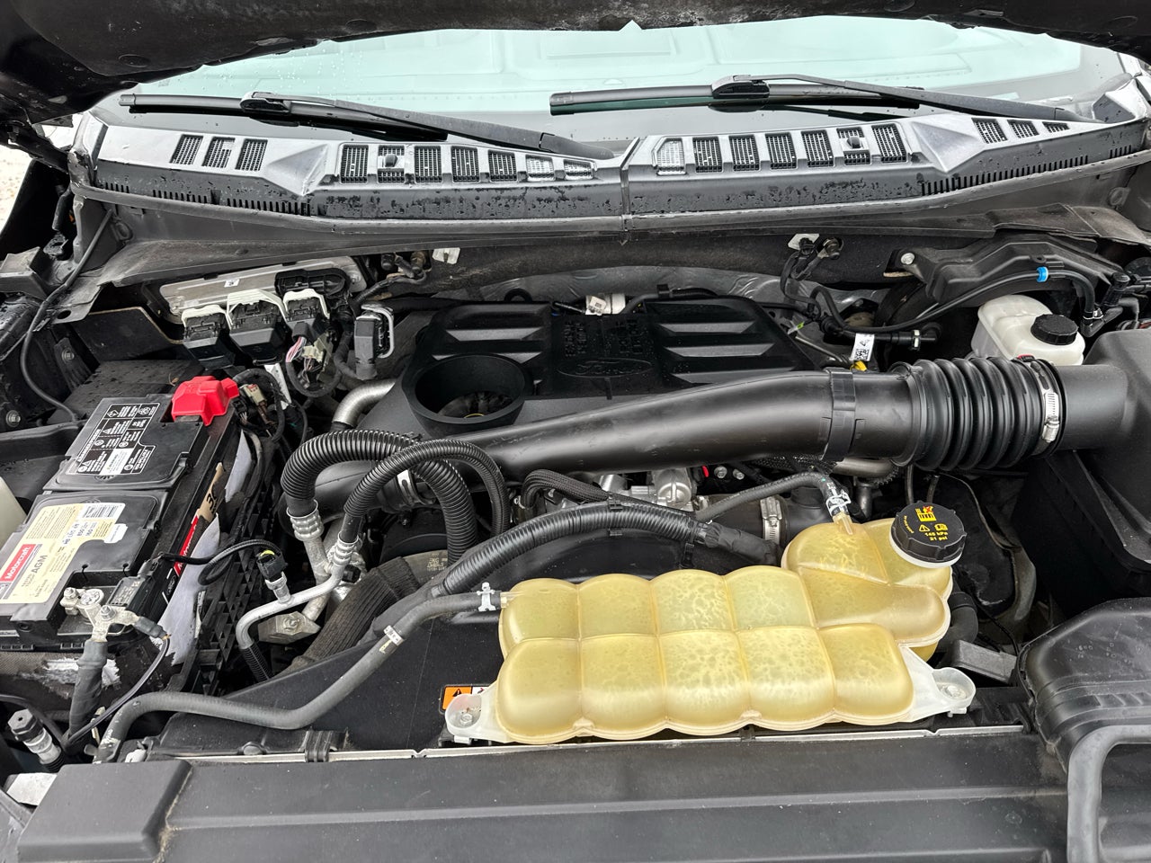 2019 Ford F-150 Platinum SuperCrew 5.5-ft. Bed 4WD