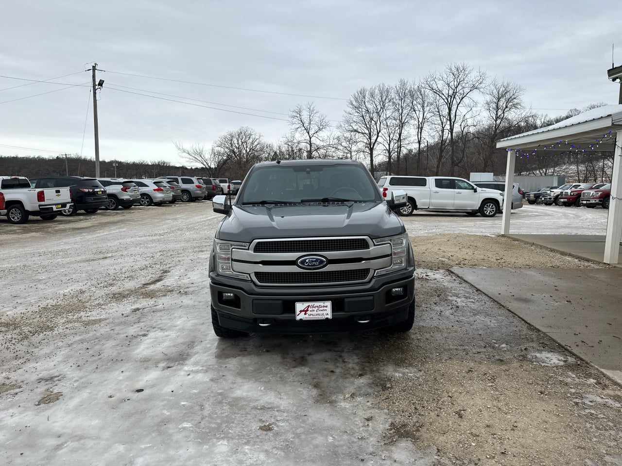 2019 Ford F-150 Platinum SuperCrew 5.5-ft. Bed 4WD