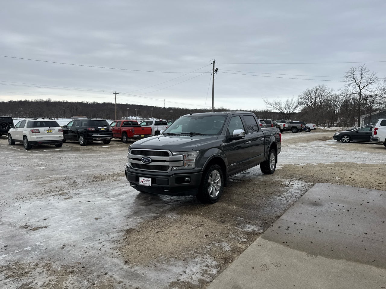 2019 Ford F-150 Platinum SuperCrew 5.5-ft. Bed 4WD