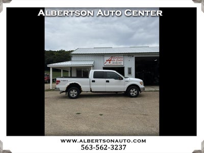 2010 Ford F-150 XLT SuperCrew 6.5-ft Box 4WD