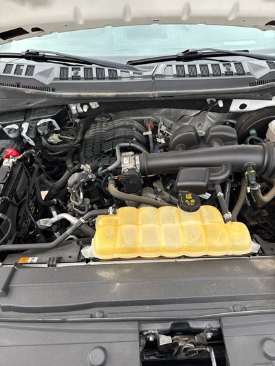 2019 Ford F-150 XL Reg. Cab Long Bed 2WD