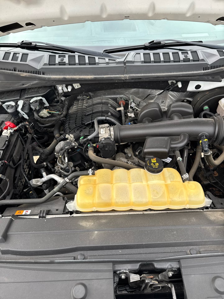 2019 Ford F-150 XL Reg. Cab Long Bed 2WD